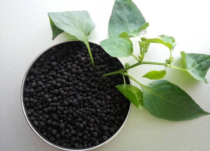 腐植酸顆粒肥對農(nóng)作物會(huì)起到哪些作用